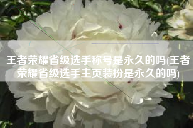 王者荣耀省级选手称号是永久的吗(王者荣耀省级选手主页装扮是永久的吗)