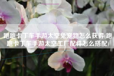 跑跑卡丁车手游太空兔宠物怎么获得(跑跑卡丁车手游太空工厂配件怎么搭配)