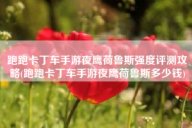 跑跑卡丁车手游夜鹰荷鲁斯强度评测攻略(跑跑卡丁车手游夜鹰荷鲁斯多少钱)