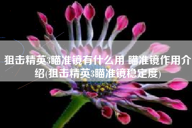 狙击精英3瞄准镜有什么用 瞄准镜作用介绍(狙击精英3瞄准镜稳定度)