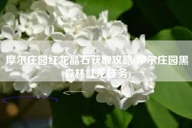 摩尔庄园红龙晶石获取攻略(摩尔庄园黑森林红龙任务)