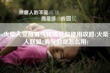 火柴人觉醒勇气精魄获取使用攻略(火柴人联盟2勇气勋章怎么用)