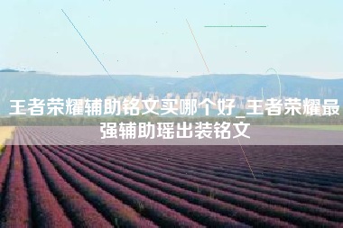 王者荣耀辅助铭文买哪个好_王者荣耀最强辅助瑶出装铭文
