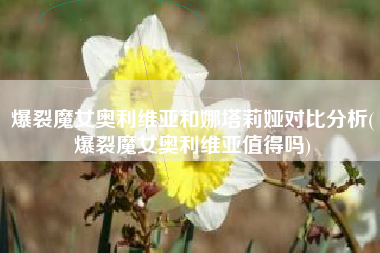 爆裂魔女奥利维亚和娜塔莉娅对比分析(爆裂魔女奥利维亚值得吗)
