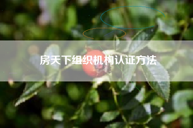 房天下组织机构认证方法