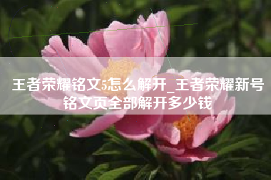 王者荣耀铭文5怎么解开_王者荣耀新号铭文页全部解开多少钱