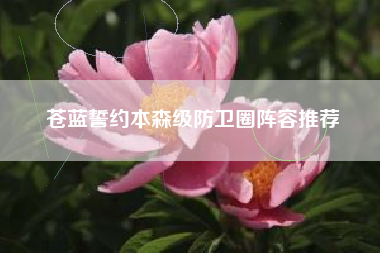 苍蓝誓约本森级防卫圈阵容推荐
