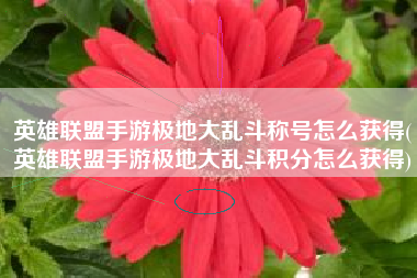 英雄联盟手游极地大乱斗称号怎么获得(英雄联盟手游极地大乱斗积分怎么获得)