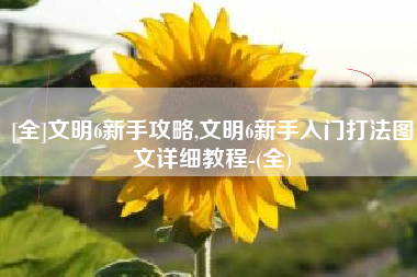[全]文明6新手攻略,文明6新手入门打法图文详细教程-(全)
