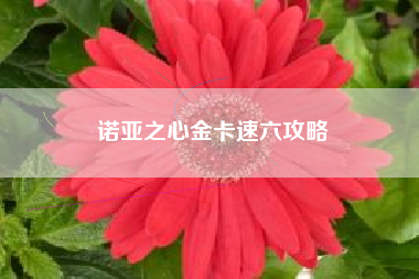 诺亚之心金卡速六攻略