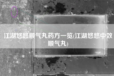 江湖悠悠顺气丸药方一览(江湖悠悠中效顺气丸)