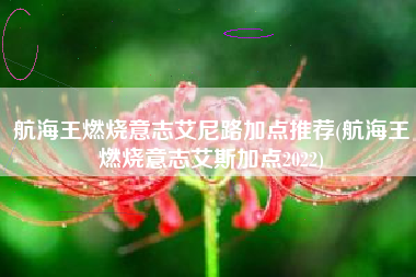 航海王燃烧意志艾尼路加点推荐(航海王燃烧意志艾斯加点2022)