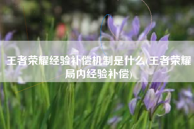 王者荣耀经验补偿机制是什么(王者荣耀局内经验补偿)