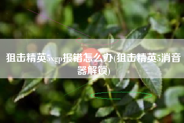 狙击精英5xgp报错怎么办(狙击精英5消音器解锁)