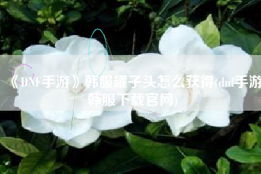 《DNF手游》韩服罐子头怎么获得(dnf手游韩服下载官网)