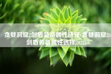 贪婪洞窟2剑盾装备属性选择(贪婪洞窟2剑盾装备属性选择2022)