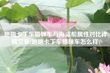 跑跑卡丁车猫咪车与海盗船属性对比详情文章(跑跑卡丁车猫咪车怎么样)