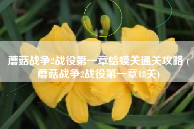 蘑菇战争2战役第一章蛤蟆关通关攻略 (蘑菇战争2战役第一章18关)