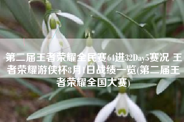 第二届王者荣耀全民赛64进32Day5赛况 王者荣耀游侠杯8月1日战绩一览(第二届王者荣耀全国大赛)