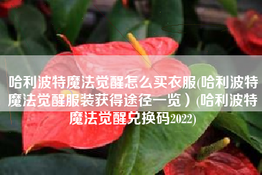 哈利波特魔法觉醒怎么买衣服(哈利波特魔法觉醒服装获得途径一览）(哈利波特魔法觉醒兑换码2022)