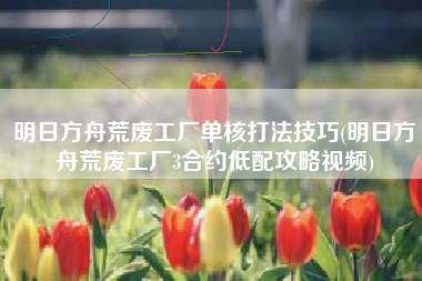 明日方舟荒废工厂单核打法技巧(明日方舟荒废工厂3合约低配攻略视频)