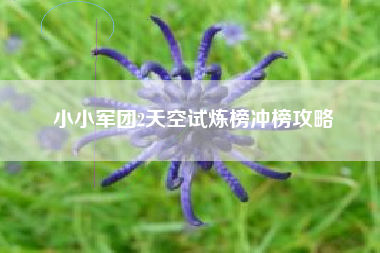 小小军团2天空试炼榜冲榜攻略