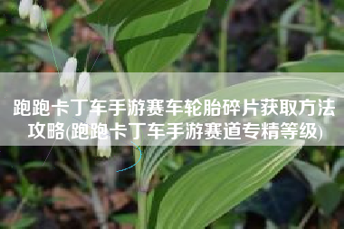 跑跑卡丁车手游赛车轮胎碎片获取方法攻略(跑跑卡丁车手游赛道专精等级)
