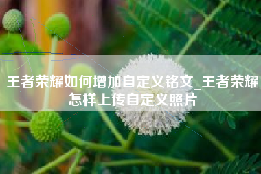 王者荣耀如何增加自定义铭文_王者荣耀怎样上传自定义照片