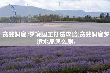 贪婪洞窟2梦境国王打法攻略(贪婪洞窟梦境水晶怎么刷)