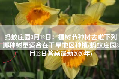 蚂蚁庄园3月12日：植树节种树去啦下列哪种树更适合在干旱地区种植(蚂蚁庄园3月12日答案最新2020年)