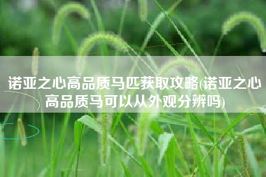 诺亚之心高品质马匹获取攻略(诺亚之心高品质马可以从外观分辨吗)