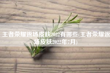 王者荣耀返场皮肤2022有哪些(王者荣耀返场皮肤2022年7月)