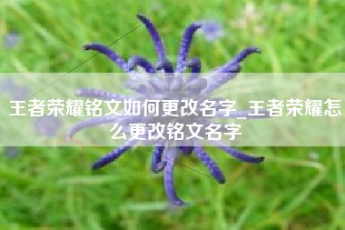 王者荣耀铭文如何更改名字_王者荣耀怎么更改铭文名字