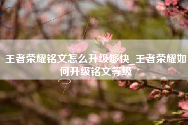 王者荣耀铭文怎么升级够快_王者荣耀如何升级铭文等级
