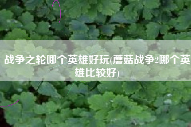 战争之轮哪个英雄好玩(蘑菇战争2哪个英雄比较好)