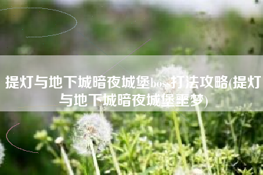 提灯与地下城暗夜城堡boss打法攻略(提灯与地下城暗夜城堡噩梦)