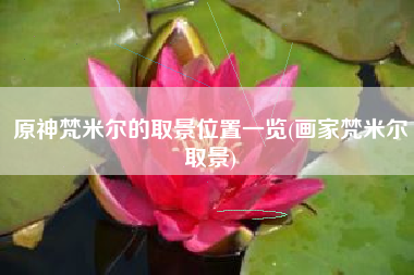原神梵米尔的取景位置一览(画家梵米尔取景)
