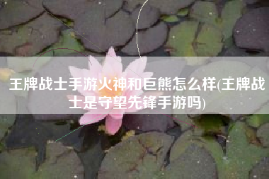王牌战士手游火神和巨熊怎么样(王牌战士是守望先锋手游吗)
