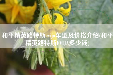 和平精英路特斯evija车型及价格介绍(和平精英路特斯EVIJA多少钱)