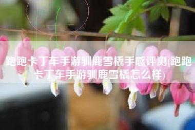 跑跑卡丁车手游驯鹿雪橇手感评测(跑跑卡丁车手游驯鹿雪橇怎么样)