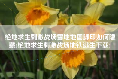 绝地求生刺激战场雪地地图脚印如何隐藏(绝地求生刺激战场地铁逃生下载)
