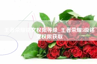 王者荣耀铭文权限等级_王者荣耀5级铭文权限获取