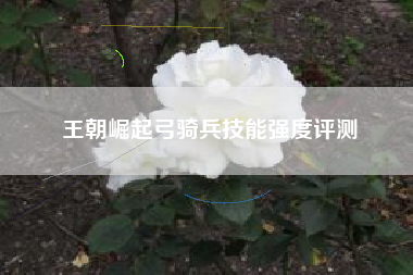 王朝崛起弓骑兵技能强度评测
