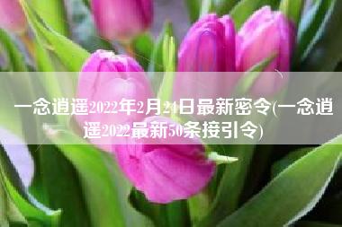 一念逍遥2022年2月24日最新密令(一念逍遥2022最新50条接引令)