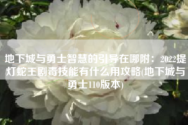地下城与勇士智慧的引导在哪附：2022提灯蛇王剧毒技能有什么用攻略(地下城与勇士110版本)
