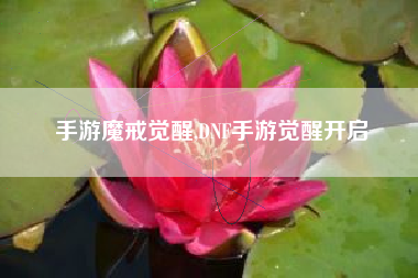 手游魔戒觉醒,DNF手游觉醒开启