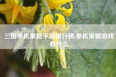 三国单机策略手游排行榜,单机策略游戏有什么