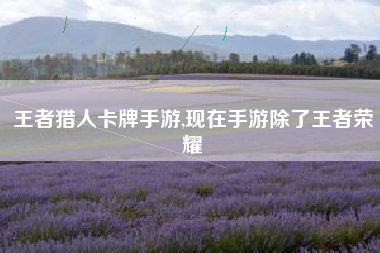 王者猎人卡牌手游,现在手游除了王者荣耀