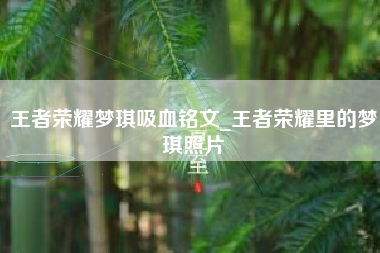 王者荣耀梦琪吸血铭文_王者荣耀里的梦琪照片