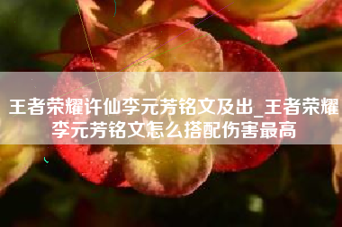 王者荣耀许仙李元芳铭文及出_王者荣耀李元芳铭文怎么搭配伤害最高